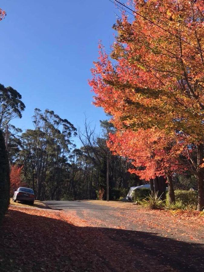 Newly Built - Blue On Albion Vila Katoomba Exterior foto